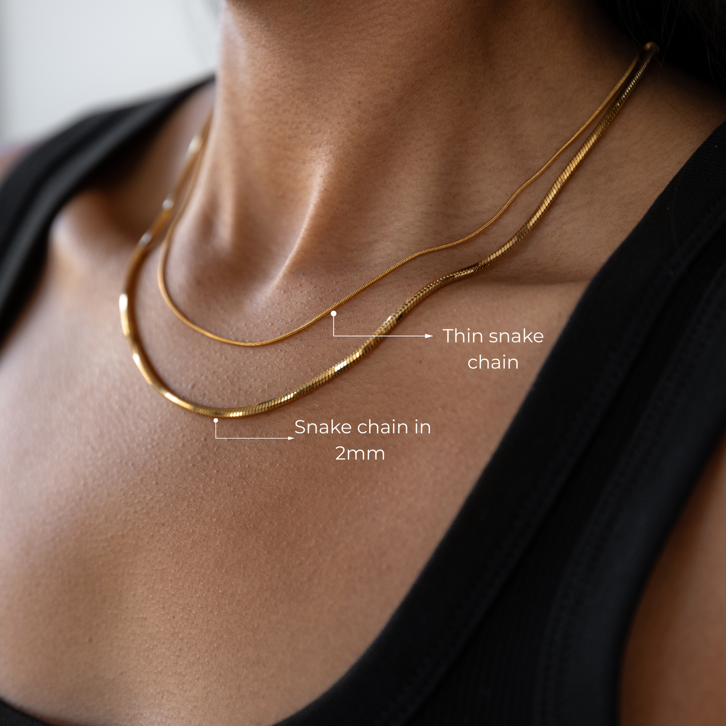 The Thin Snake Chain