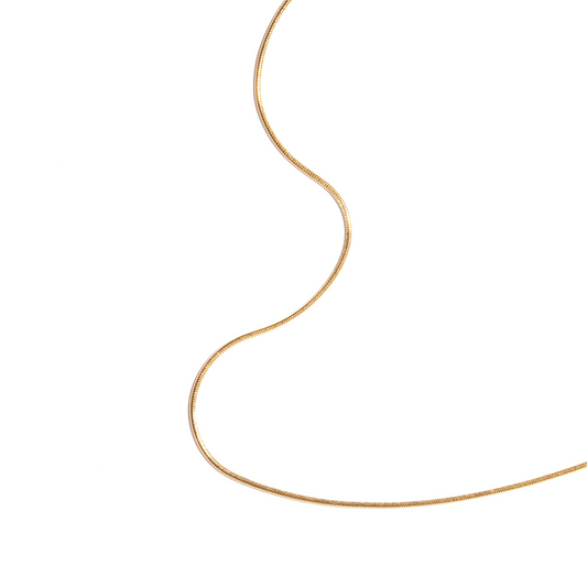 The Thin Snake Chain